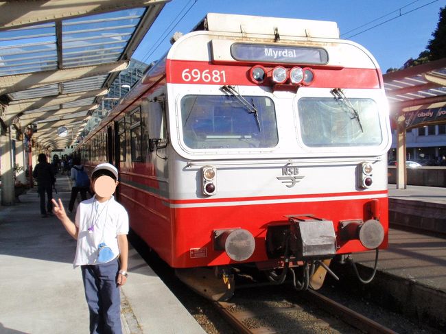 ベルゲン駅はホテルの目の前！<br />ミュルダール行きの電車(8:40発)で途中のヴォスという駅まで行きます。<br />ベルゲンーミュルダール間は昨日ベルゲンへ来る際に乗ってきたばかりなので省略させて頂きます。