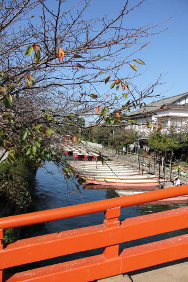 たくさんの舟が並んでました。どんこ舟というそうです。<br />