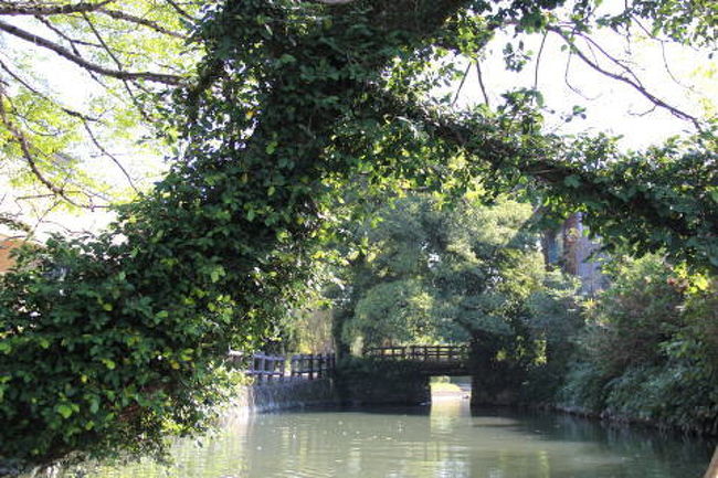 ゆったりと静かに時間が流れていきます。