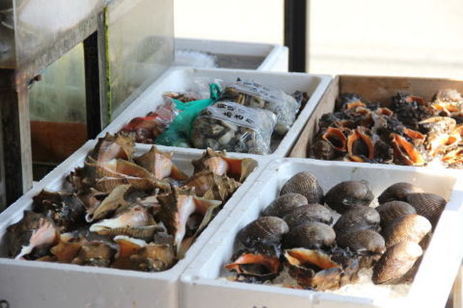 柳川は有明海に近いので、おいしそうな魚介類がたくさんあるんです！