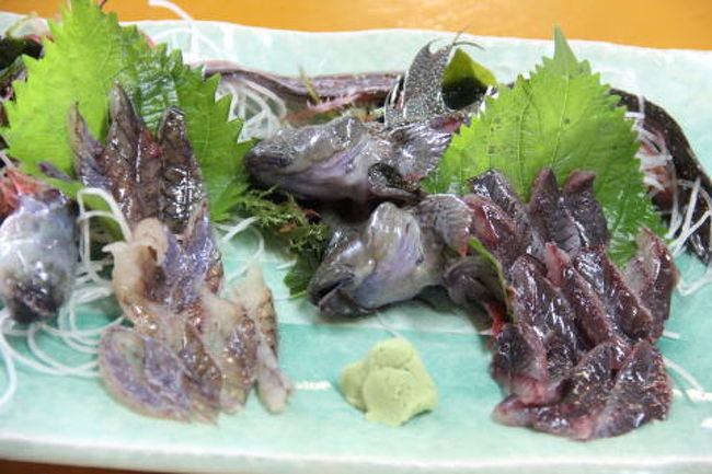 そして、友人が頼んだのがこれ！<br />むつごろうのお刺身･･･　よりにもよって活け造りって･･･(-_-;)<br />あのお顔でお口パクパク･･･<br />うーーー　今、思い出しても鳥肌が〜〜〜!!!<br />おいしいからだまされたと思って食べてみなさいって言われて、目をつぶって食べてみたら、味はおいしかったけど、やっぱり鳥肌･･･