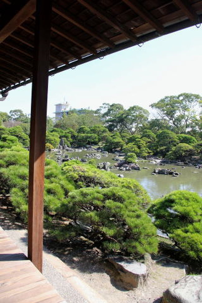 平成23年には松濤園を含む敷地全体が「立花氏庭園」として国の名勝指定されたそうです。<br />そんな場所で結婚式とかできるのね〜　すごい！