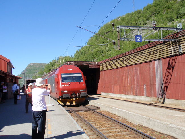 ミュルダール駅に到着です。<br /><br />最初にベルゲンから乗って降りた駅ヴォスと、このミュルダールの間ソグネフィヨルドの観光が終わりました。<br /><br />今度はこのベルゲン急行に乗ってベルゲンへ帰ります。