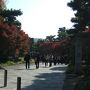 京都紅葉めぐり！