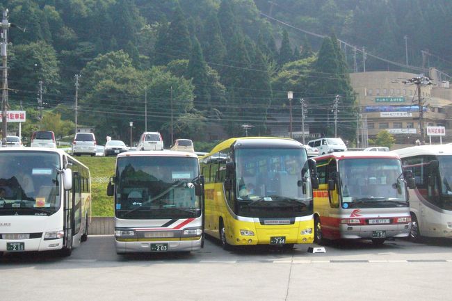 黄色いのがはとバス。可愛いバスです♪