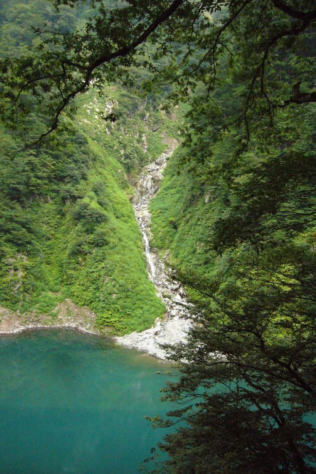 根雪がある場所だそうです