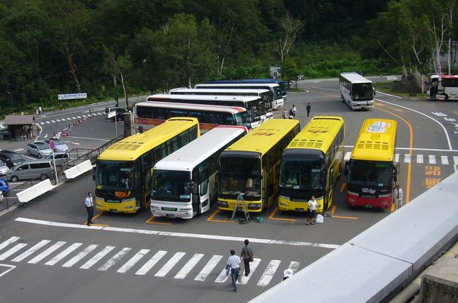 はとバスが待っていてくれてます。（黄色いバスが多い！？）