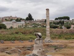 エフェソス遺跡を跡にして街中には石柱が１本だけ残ったアルテミス神殿の跡