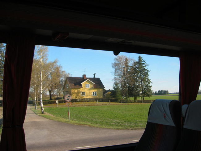黄色い家の横に白樺の木が綺麗です。