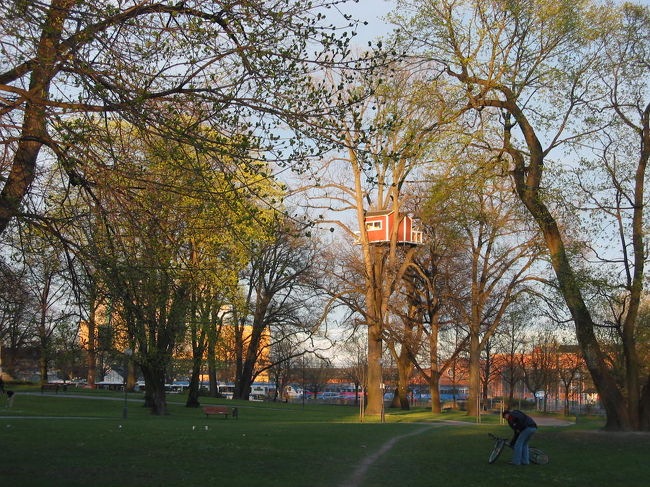 気の上に小屋があります。何のために誰が？