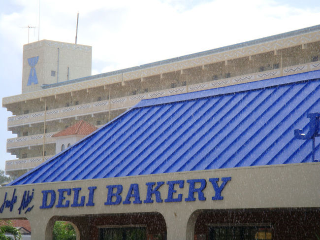 雨季だから？！<br />晴れてるのにスコール！<br /><br />写真に雨、写るかな？って何枚か撮影＾＾