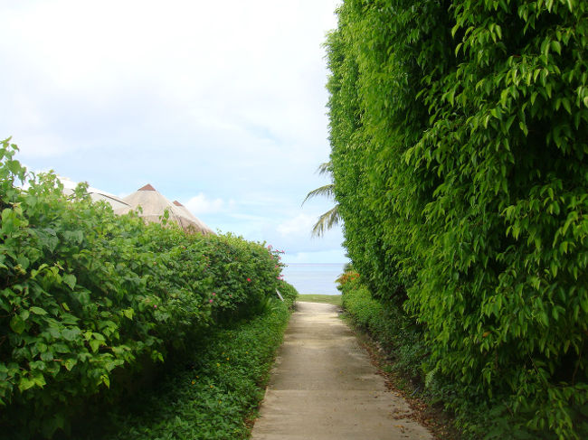 この道を抜けると、海♪