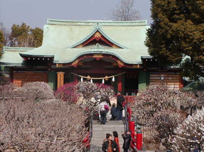 亀戸天神社の梅まつり 亀戸 東京 の旅行記 ブログ By らいぽさん フォートラベル