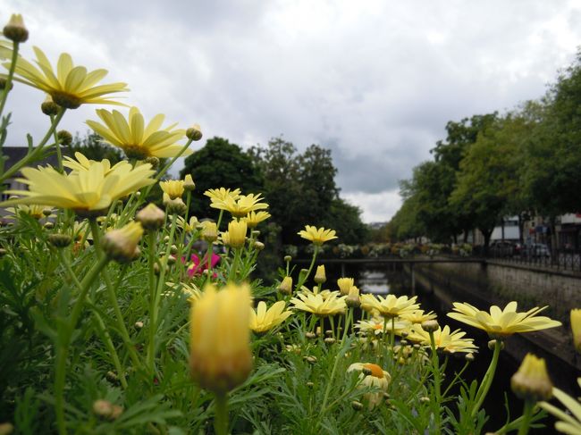 ところがオデ川沿いのアミラル・ケルグラン大通りに入りに入ったとたん、風景が変わりステキな街並みが現れました。<br /><br />ポンタヴェンでも川に架る橋に色とりどりの花が飾られていましたが、ここカンペールでもポンタヴェンに負ないほど数本の橋それぞれに草花が飾られていました。<br /><br />ポンタヴェンの橋には赤い花が多かったけれどカンペールは黄色い花が多かったかな。<br />