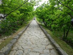 桜並木の石畳
春はウェディングも行われるんだそうです。

首里城の石畳よりゴツゴツでした。