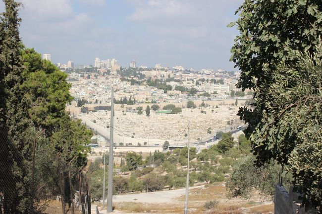 オリーブ山からの景色。<br />エルサレムでの宿はイブラヒムピースハウス。<br />ホテルでもなく、ホステルでもなく、パレスチナ人イブラヒムさんの家なんです。<br />是非調べてみてください。<br />ちなみに宿代は寄付制なのですが、しないで帰ってしまう人も多いそう。<br />もちろん日本人にも。なんだかなあ。