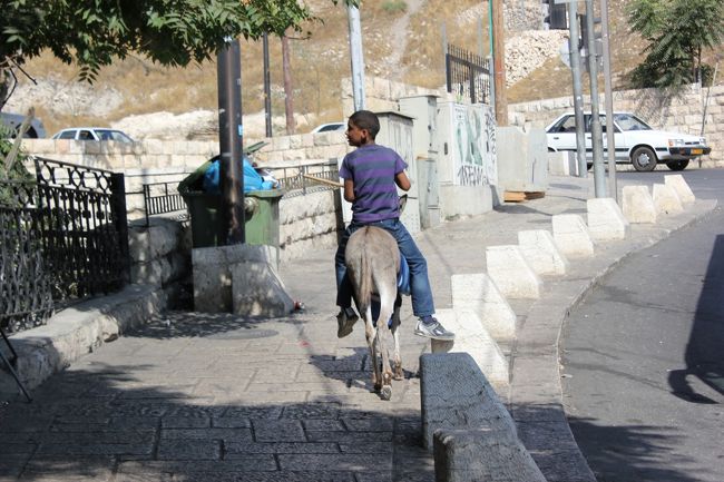 普通の道を、ロバに乗ってる少年。<br />エルサレムに来たことを実感！