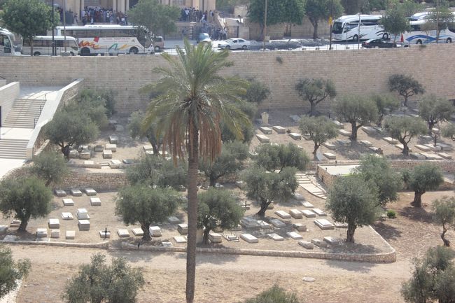 ゲームのような世界。<br />お墓。