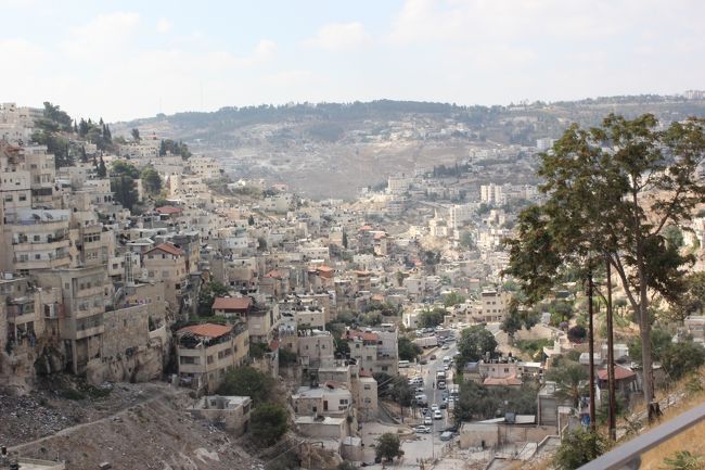 こう見ると少しだけ、ペトラにも似てるな。