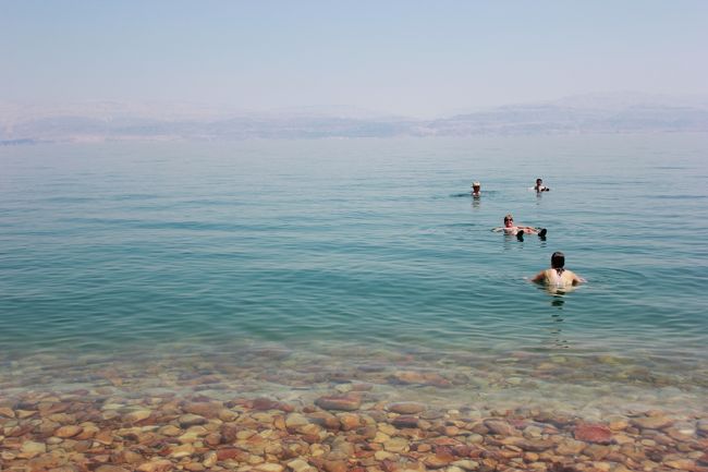水自体は透明度が高く、とっても奇麗です。<br />ヨルダン側からも死海は行けますが、<br />公共の交通機関が無いためタクシーになること、<br />また、透明度はイスラエル側の方が上らしいということでイスラエルから来ました。<br />塩分濃度が高すぎて生き物がほとんど生息できないらしい。