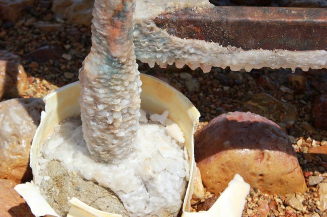 塩分がすごすぎて、こんなことになっています。<br />舐めてみるとめちゃくちゃ苦い！<br />海中に入っても、10分くらいで肌や粘膜が痛くなって耐えられません。<br />どおりで客の回転率が凄くいいはずです。<br />目に入っても激痛です。<br />ちなみに超簡易なシャワーがありました。