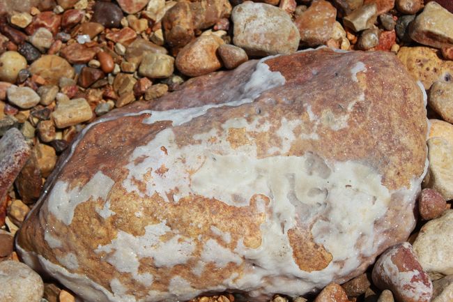 ちなみに死海の泥は販売されていました。。。