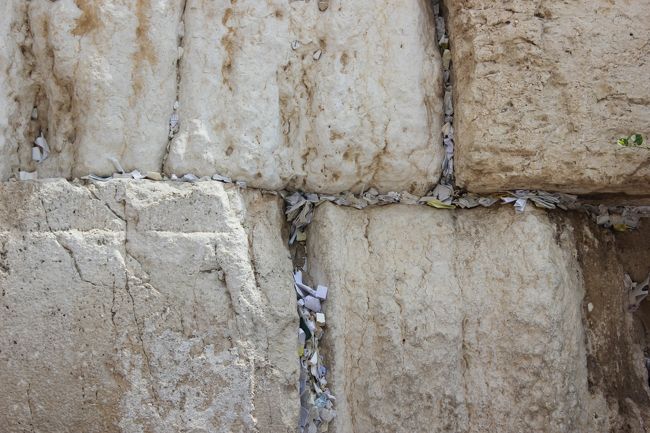 壁の隙間には多くの紙が挟まれています。