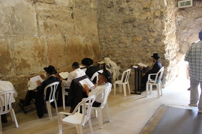 おじいちゃんが気が散ってる。