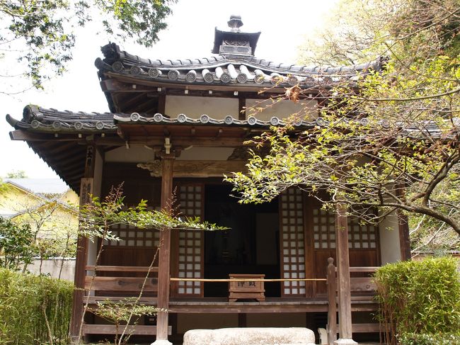 北条時頼の墓』鎌倉(神奈川県)の旅行記・ブログ by ドクターキム 北条時頼の墓』鎌倉(神奈川県)の旅行記・ブログ by ドクターキム