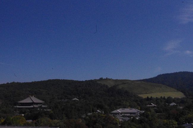 特別公開へ逸る気持ちを抑えつつ<br />駐車場に車を置いて<br />秋晴れですから<br />せんとクンが迎えてくれる<br />奈良県庁の展望台に上がることにしました。<br />360度パノラマ眺望を見逃すことは出来ません<br />東西南北、奈良の風景が見渡せました。<br /><br />東側　東大寺・大仏殿　若草山