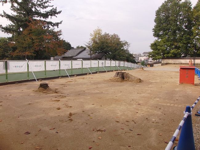 北円堂では発掘工事中ということで、いつもと違う入口でした。