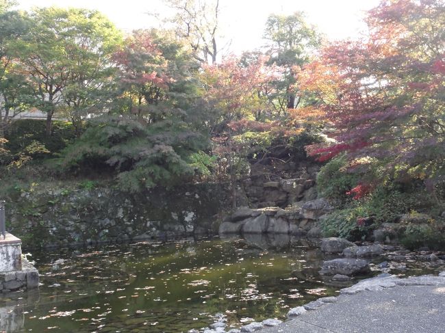 色づいた葉っぱがとてもきれいです。<br />木々の間を通って正面玄関に向かいます。