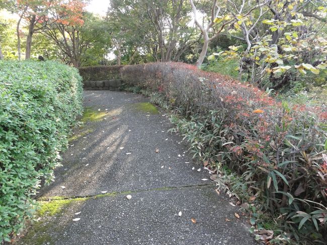 こういう小道になっています。<br />あちこちで写真を撮っている人や子ども連れでお散歩している人がいて，お散歩コースにもってこいの場所だなあって思いました。