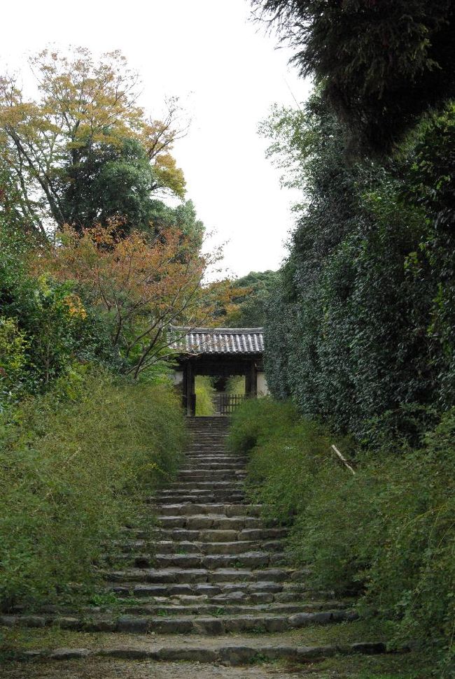 白豪寺に着きました。萩の花は既にオワリ。。。
