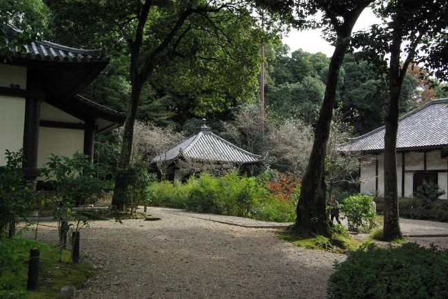 境内を見回すと。。