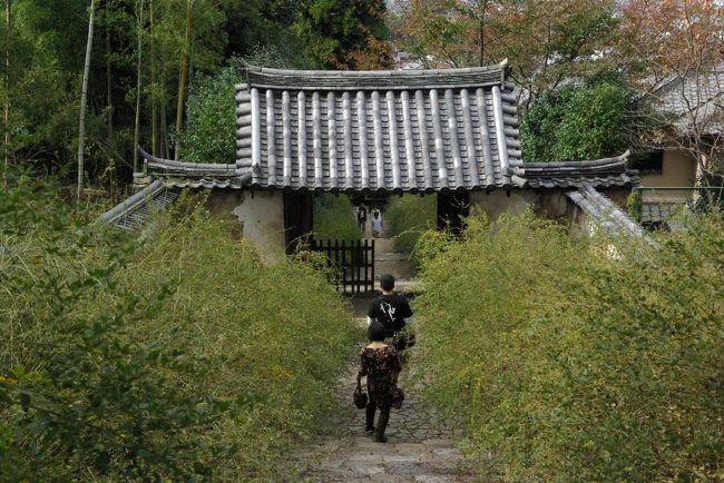 白豪寺を後にします。