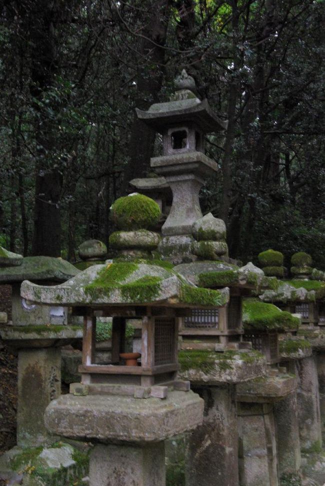 春日大社参道に入ってきました。。