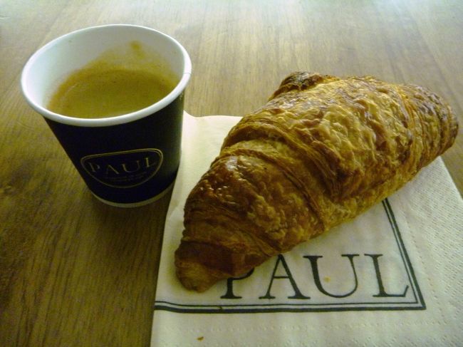 12時間の快適なフライトで朝方Parisへ到着。<br /><br />ボンジュールParis♪<br /><br />パリの気温はなんと今1度。<br />飛行機の外へでると、さみ〜〜〜〜っ。<br /><br />パリのCDGでの乗り継ぎは荷物がなくなる可能性が高いと大好評の空港なので、安全を期して一度Parisで荷物をPick UPしてフランスへ入国。<br />乗り継ぎ時間もたっぷり7時間もあるし。<br /><br />JALの到着のCDGの2Eのターミナルから歩いてエールフランスのカイロ行きが出る2Fターミナルへ。<br /><br />エールフランス便なので、出発まで時間はあるけどBaggage　DropのカウンターがOpenしているのでスーツケースを預けて身軽になる。<br />よかった〜、Web Check inしてて。<br /><br />身軽になったら空港価格のBreakfastをば。