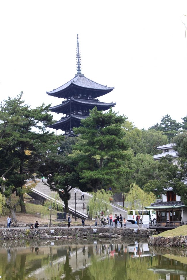 猿沢池よりの興福寺五重の塔（国宝）