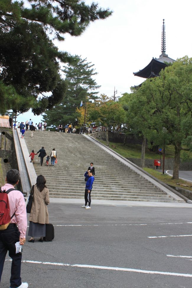 猿沢池から興福寺への階段<br />数は５２段です。<br /><br />仏教には52位の修行の段階があり、52位に至って仏の位に達することに由来するとか、善財童子が53人の善智識を訪ねて回ったことに由来するなど諸説あるらしいです。