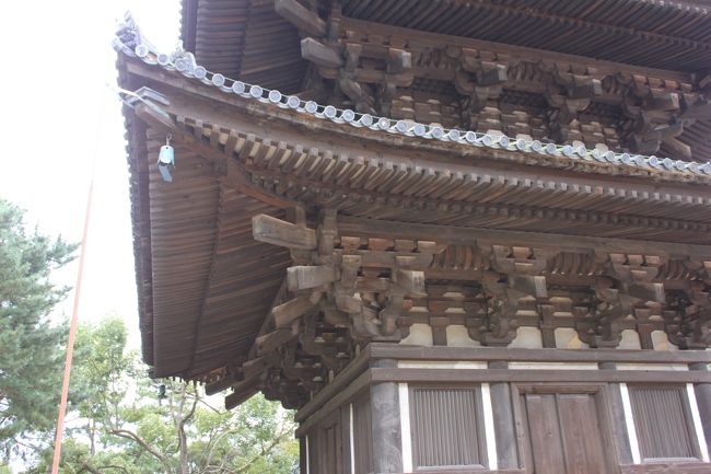 興福寺　五重の塔