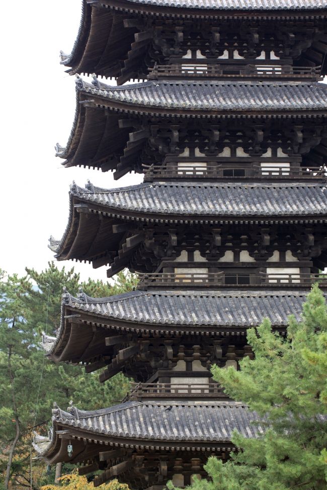 興福寺　五重の塔