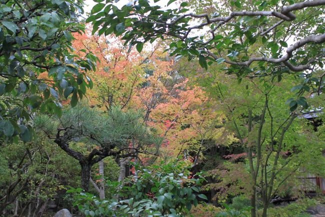 法華寺<br />華樂園