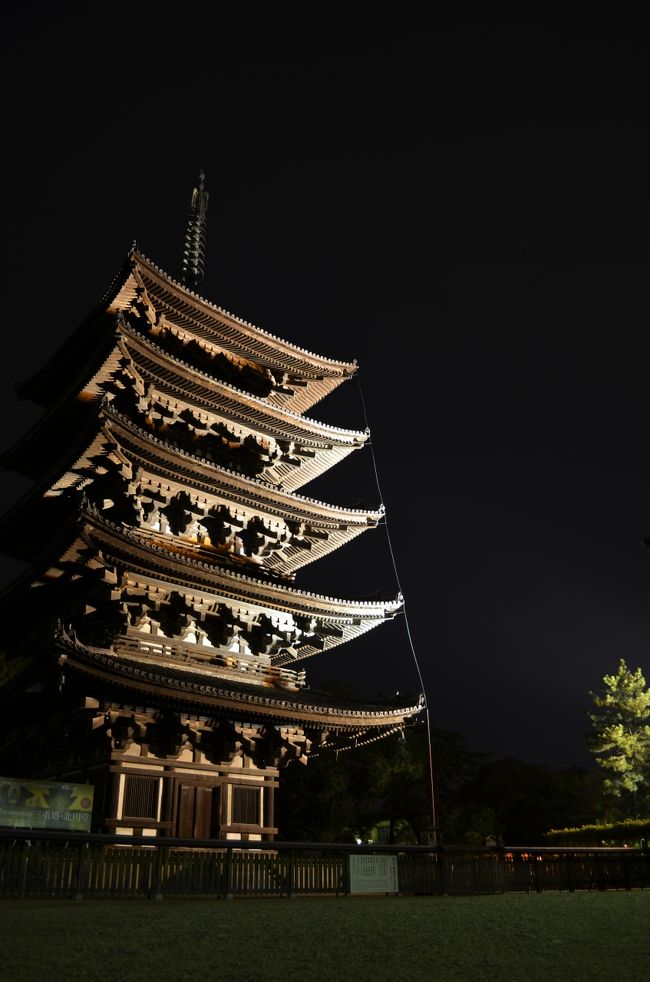 猿沢池から五重塔へ移動