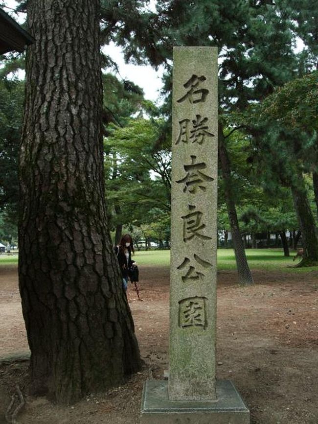 とりあえず近くの奈良公園に。