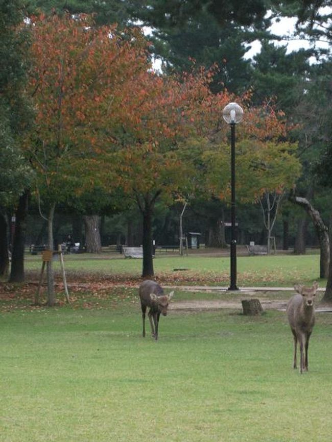 食べ終わって再び公園内を歩き始めました。