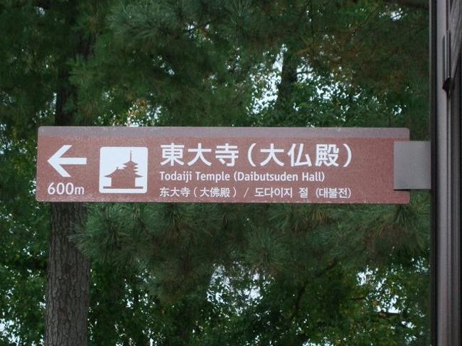 そうだ、大仏殿へ行こう!!(笑)