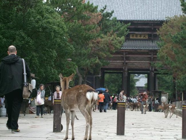 何年ぶりかな。<br />４０年ぶりくらいになるかも…。