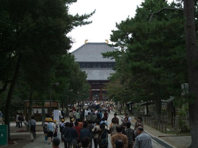 大仏殿が見えてきました。