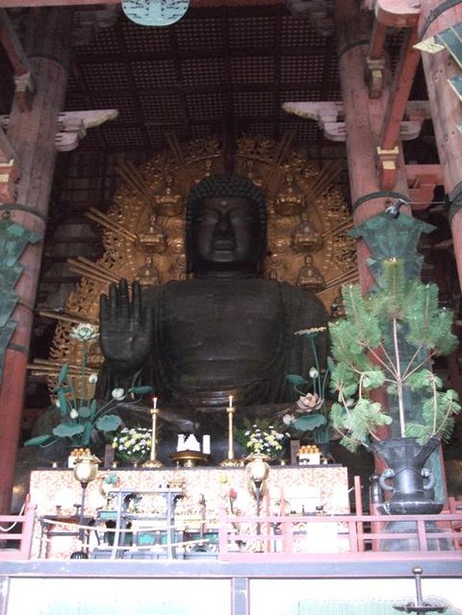 そして建物の中へ。<br />大仏様です。